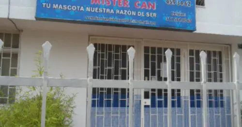 VETERINARIA MISTER CAN BOGOTÁ VETERINARIA MISTER CAN BOGOTÁ